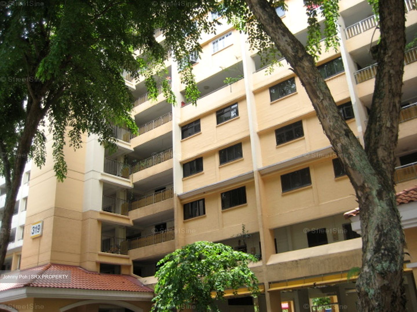 Blk 319 Teck Ghee Vista (Ang Mo Kio), HDB 3 Rooms #596915671